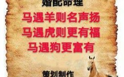 马与什么属相最配？生肖马最佳婚配属相解析