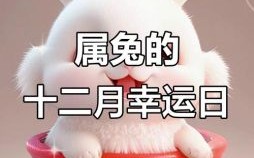 2025年11月属兔女剃度吉日 2025年12月属兔女出家吉日查询