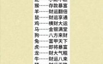 蛇兔一窝有运来打一生肖"谜底解析与生肖运势揭秘