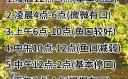 2025年11月钓鱼吉日 2025年11月垂钓最佳吉日推荐