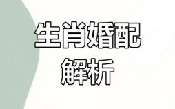 属猪和什么属相最配？生肖猪最佳婚配属相解析