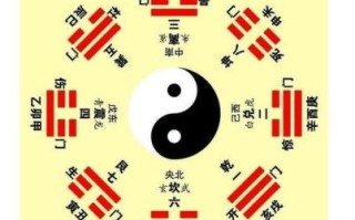 三才八卦运xian打一生肖解析：生肖运势与八卦玄机揭秘