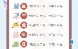 七伴九运三不出打一生肖谜底解析，十二生肖中谁最符合？