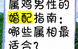 鸡与哪些属相最配？生肖鸡的最佳婚配属相解析
