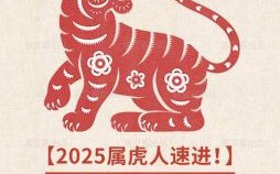 2025年11月属虎提车吉日推荐 2025年11月属虎哪天买车日子好