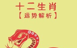 2025年十月生肖兔运势解析：事业财运全攻略