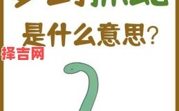 梦见被蛇咬预示什么？周公解梦详解蛇咬梦境含义