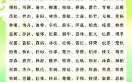 男宝带木字名字大全2025最新版，寓意吉祥又好听