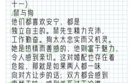 属狗的和什么属相最配？12生肖配对解析