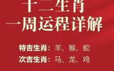 有运在三可追四打一生肖谜底揭晓！生肖运势解析