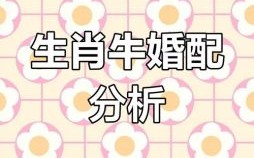 97年属牛最佳婚配属相，生肖配对解析