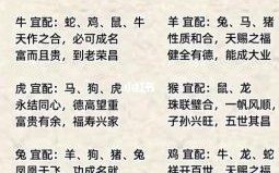 马和什么属相最配？生肖配对解析与婚配宜忌