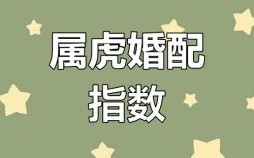 女虎最佳婚配属相揭秘，属虎女与哪些生肖最合？