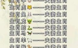 属龙的最佳婚配属相 龙年出生者姻缘配对解析