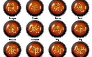四海五湖兄弟运指什么生肖？十二生肖运势解析