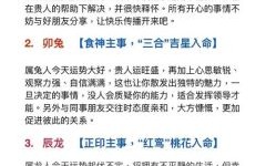 吴大师八字命理解析大全：精准测算命运与运势指南