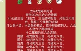 已来运临三三重打一生肖谜底解析，精准预测生肖运势