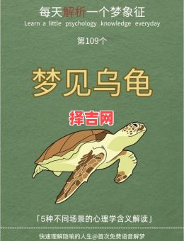 梦见乌龟的寓意解析:周公解梦详解乌龟象征含义-第1张图片 梦见乌龟的寓意解析:周公解梦详解乌龟象征含义-第1张图片