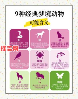 梦见很多蛇预示什么？周公解梦解析蛇的象征意义-第1张图片