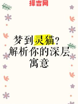 梦见猫代表什么?12种常见梦境解析与象征意义-第1张图片 梦见猫代表什么?12种常见梦境解析与象征意义-第1张图片