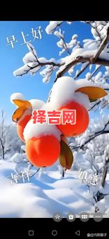 梦见下雪预示什么?12种梦境解析与运势征兆-第1张图片 梦见下雪预示什么?12种梦境解析与运势征兆-第1张图片