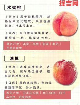 梦见摘桃子预示什么?周公解梦揭秘桃子象征意义-第1张图片 梦见摘桃子预示什么?周公解梦揭秘桃子象征意义-第1张图片