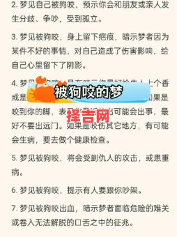 梦见被狗咬预示什么?解析梦境背后的含义与象征-第1张图片 梦见被狗咬预示什么?解析梦境背后的含义与象征-第1张图片