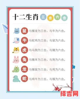 七伴九运三不出打一生肖谜底解析,十二生肖中谁最符合?-第1张图片 七伴九运三不出打一生肖谜底解析,十二生肖中谁最符合?-第1张图片