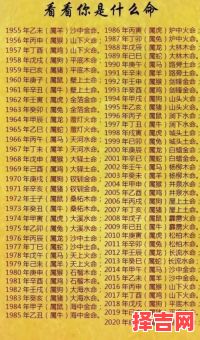 二四两位运中特打一生肖谜底解析,生肖运势大揭秘-第1张图片 二四两位运中特打一生肖谜底解析,生肖运势大揭秘-第1张图片