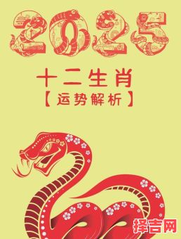 2025年十月生肖兔运势解析：事业财运全攻略-第1张图片