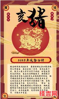 2025年香港码报十二生肖运程解析:财运事业爱情全预测-第1张图片 2025年香港码报十二生肖运程解析:财运事业爱情全预测-第1张图片