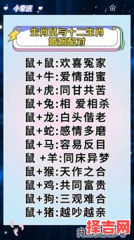 生肖鼠下月桃花运解析,爱情运势大揭秘!-第1张图片 生肖鼠下月桃花运解析,爱情运势大揭秘!-第1张图片
