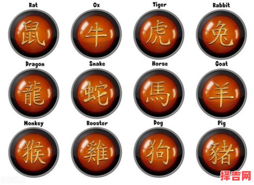 四海五湖兄弟运指什么生肖？十二生肖运势解析-第1张图片
