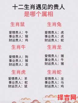 一命两运三风水猜生肖：揭秘传统命理中的属相玄机-第1张图片