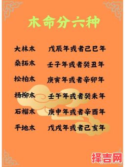 天木虚命格五行缺木吗？详解命理特征与补木方法-第1张图片