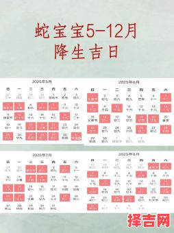 2025年蛇人11月出行吉日 2025年10月属蛇人出行黄道吉日查询-第1张图片 2025年蛇人11月出行吉日 2025年10月属蛇人出行黄道吉日查询-第1张图片