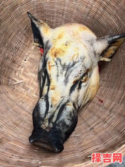 2025年12月杀猪黄道吉日 2025年12月适合杀猪的吉日有哪些-第1张图片 2025年12月杀猪黄道吉日 2025年12月适合杀猪的吉日有哪些-第1张图片