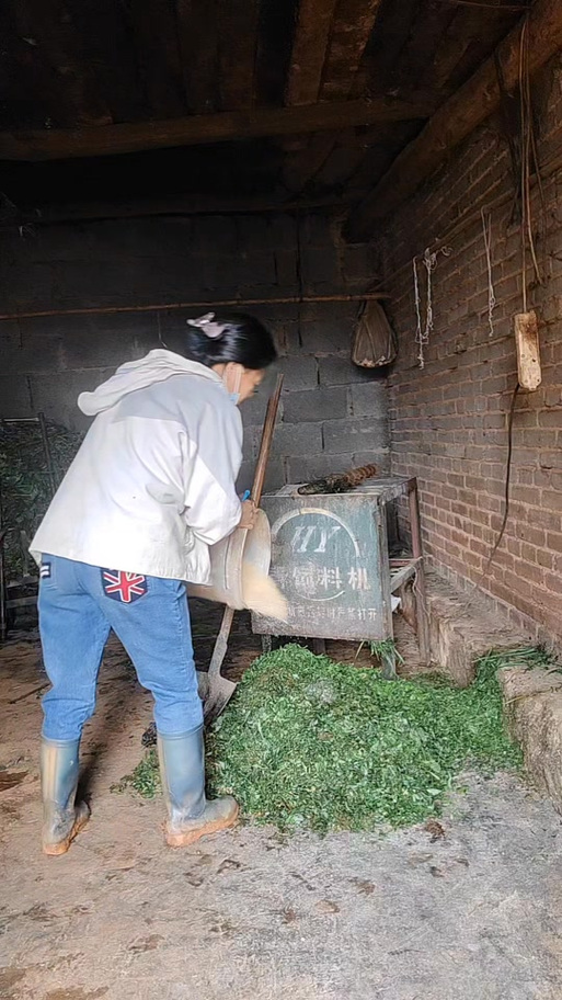 2026年4月安放猪槽吉日 2026年4月猪槽安装吉日推荐-第1张图片